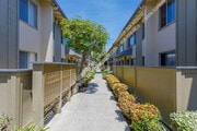 500-502 Orange Walkway - Orange Point Apartments, 500-502 Orange Ave