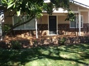 Mature, sweet orange tree - 926 N Maple St
