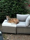 Pet friendly - 8327 Blackburn Ave Apartments Unit 5
