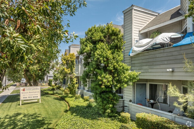 Orchid Gardens - Orchid Gardens