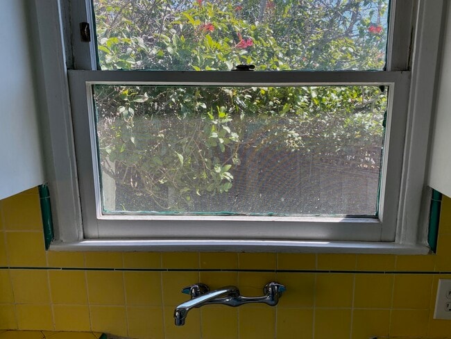 View of yard from Kitchen Sink - 924 Electric Ave Unit 924