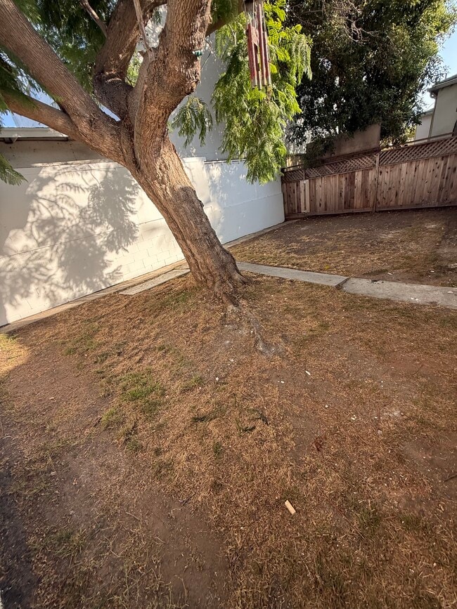 Huge private backyard - 1543 11th St Unit D