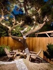 Back Yard - 520 S Inglewood Ave Apartments Unit 3