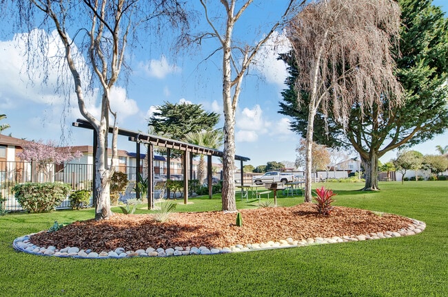 Picnic area - Chestnut Village