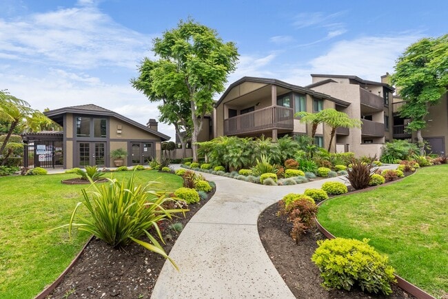 Beachpoint Apartments - Beachpoint Apartments