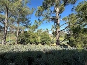 Photo - 4868 Petersen St