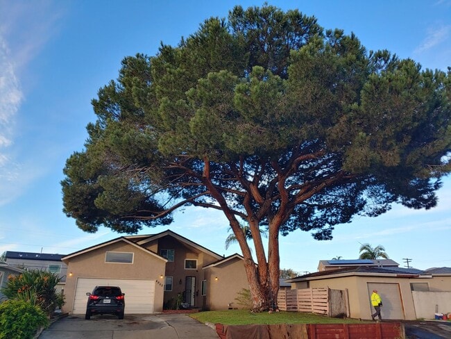 Building Photo - Spacious 6BR Home Near SDSU!