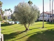 Photo - 319 Vista Royale Dr