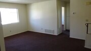 Living Room 3 - 721 Summerwood Ln Townhome