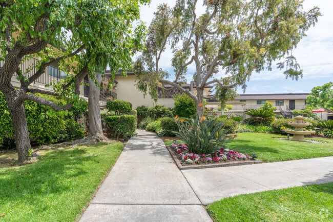 Courtyard - Las Brisas