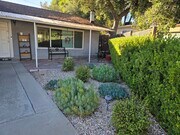 Front yard - 3439 1/2 Altura Ave