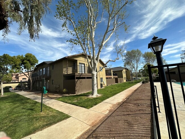 Mature trees along walkway at Riverdale Apartment Homes in Hemet, California. - Riverdale Apartments