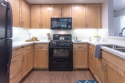 2BR, 2BA-1313 SF - Oasis at Lake Encino
