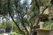 Photo - 518 S El Molino Ave Unit 306