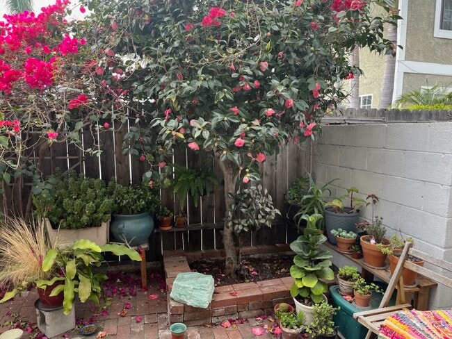 Building Photo - 2316 Virginia Ave