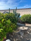Photo - 26030 San Quintin Rd