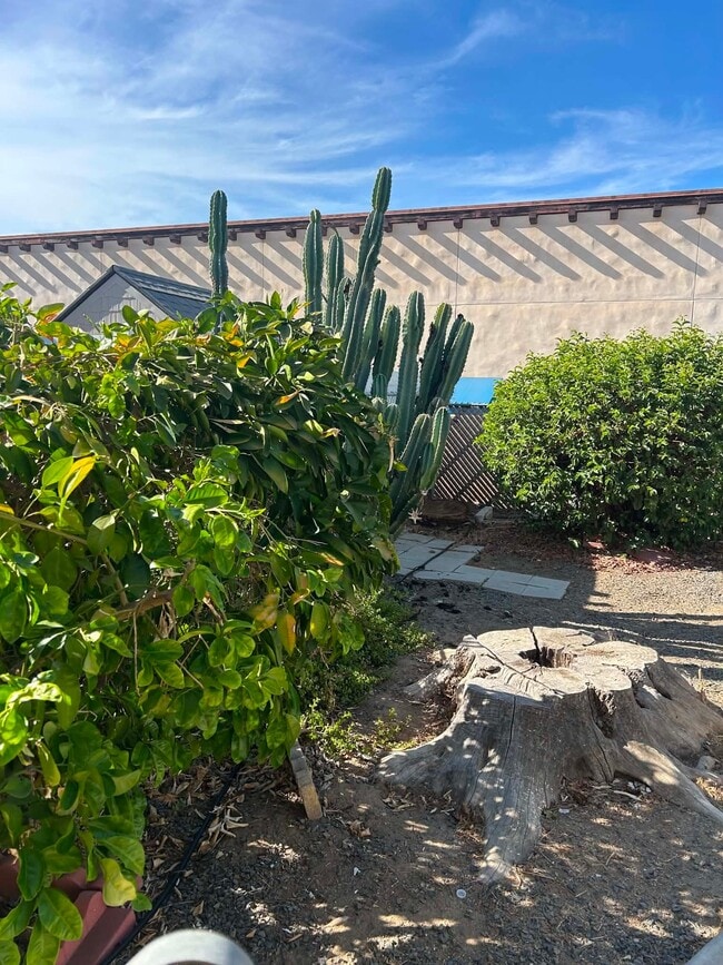 Photo - 26030 San Quintin Rd