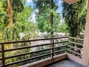 Photo - 6815 Remmet Ave Unit 222