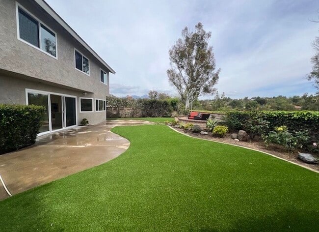 Photo - 23806 Lagarto