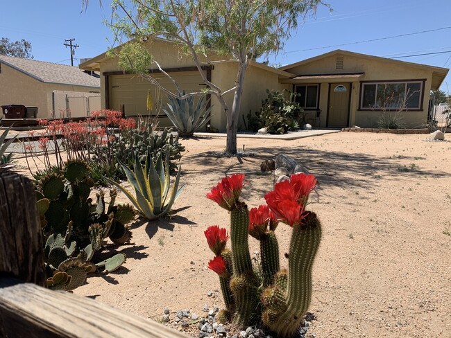 Photo - 6186 Chia Ave