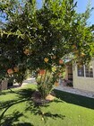 Photo - 19148 Saticoy St House