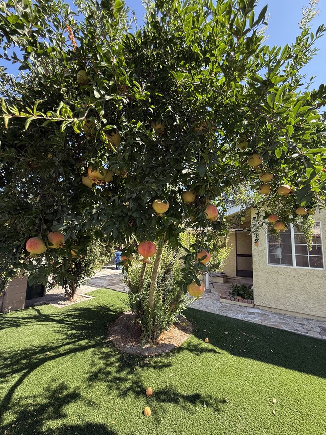 Photo - 19148 Saticoy St
