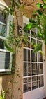 Photo - 2113 Duane St Apartments Unit 2113