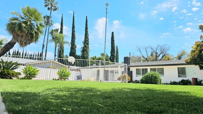 Building Photo - Mid Century Modern - 4 Bedroom Carlton Terrace Pool Home