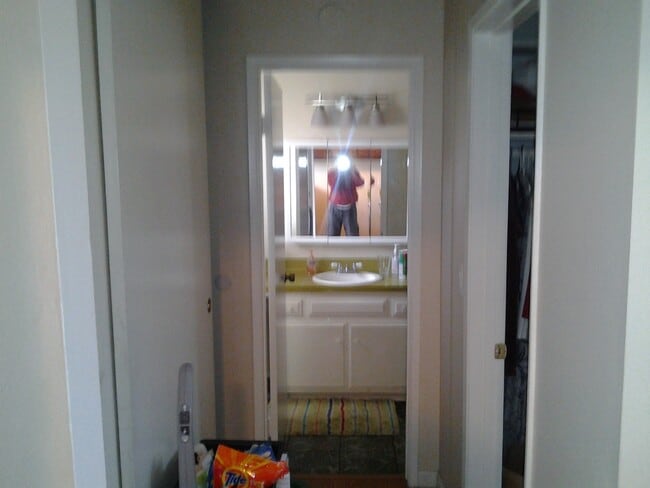 Hall looking to bath - 490 4th Ave Unit 36