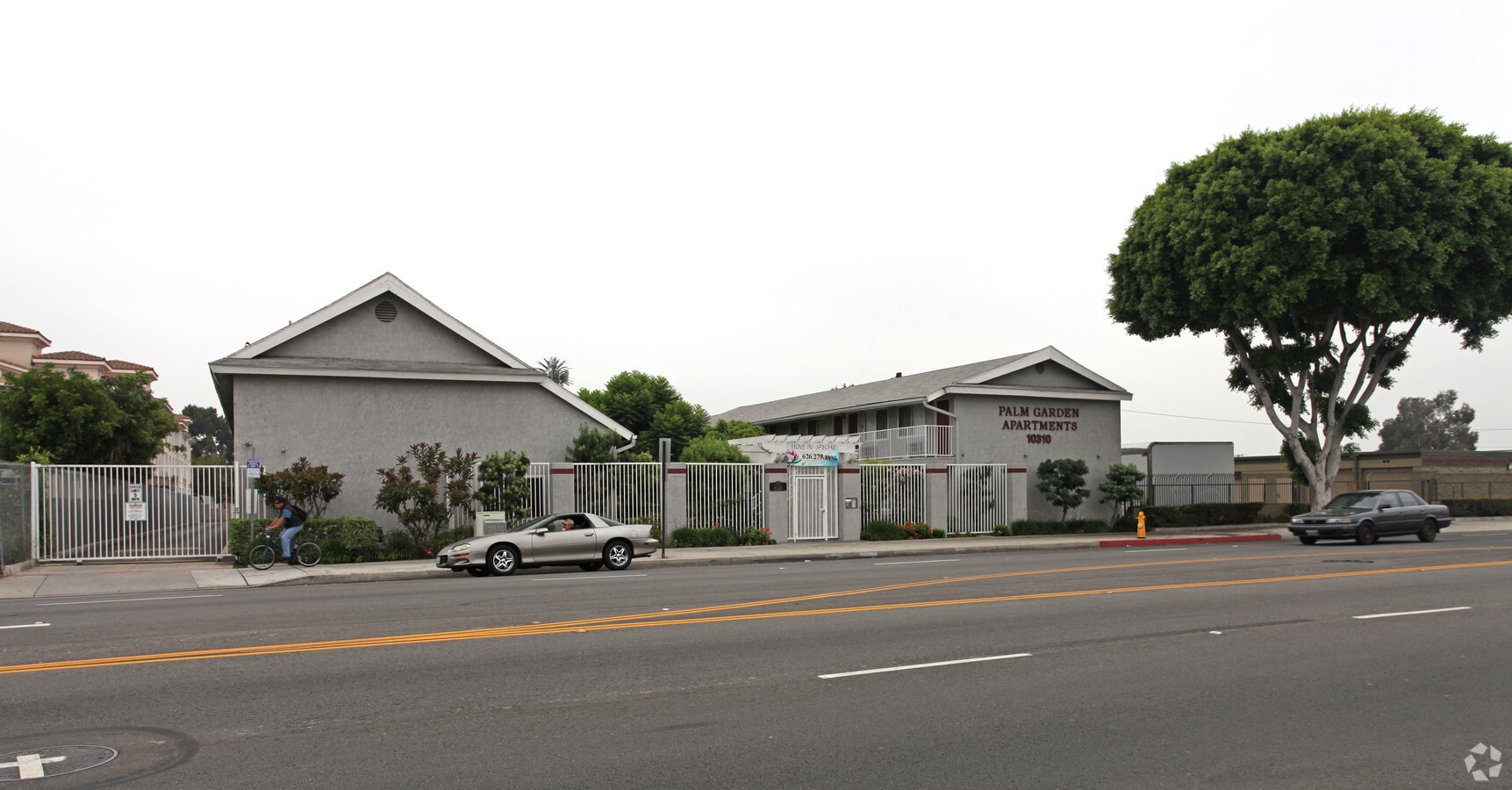 Palm Garden Apartments - Palm Garden Apartments