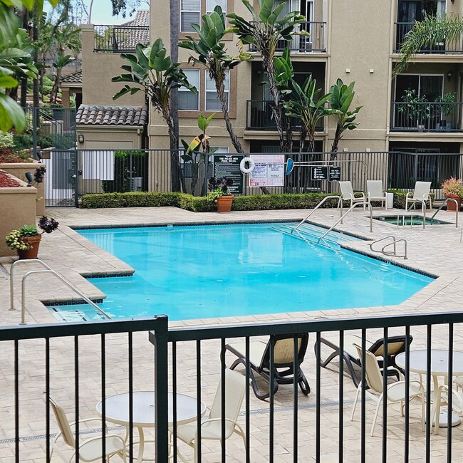 Pool Area - 3448 Hathaway Ave Unit 343