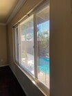 Window in Living Room - 4849 Williamsburg Ln Unit 269