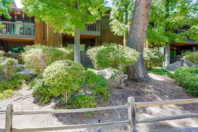 Photo - Great Alpine Rental Unit 712