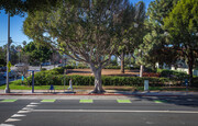 Park across the street - 201 Pacific St Apartments Unit B