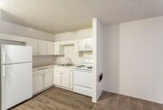 1 BR, 1 BA - 540 SF - Xav Summerfield Villas Apartments