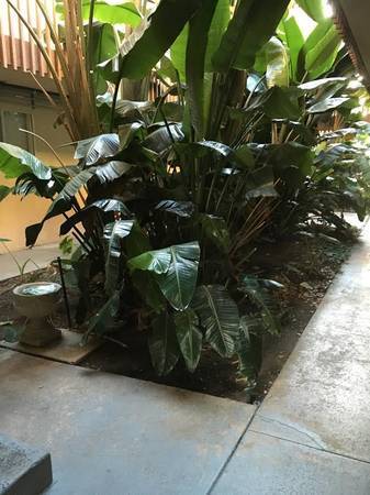 Building interior open space - 490 4th Ave Unit 36