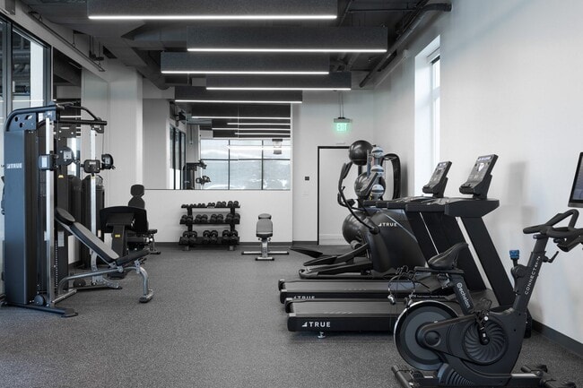 Photo - Skylar At Sunset