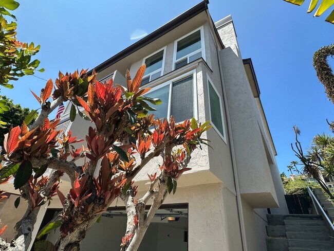 Photo - 2318 Geranium St