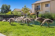 Photo - 24518 W Nicklaus Dr Condo Unit O20