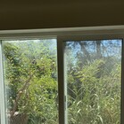 Forest view from the window. - 640 Cavanagh Rd House