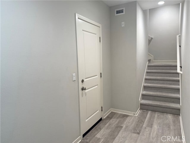 Photo - 149 Tubeflower