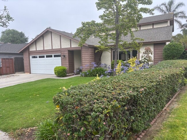 Street view - 830 Stern Ln House