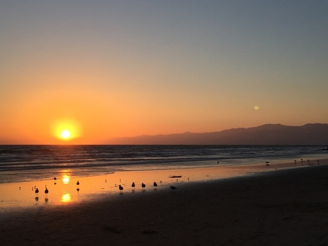 Your Beach - 33 Paloma Ave Unit #1