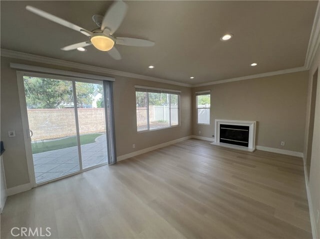 Photo - 43 Straw Flower