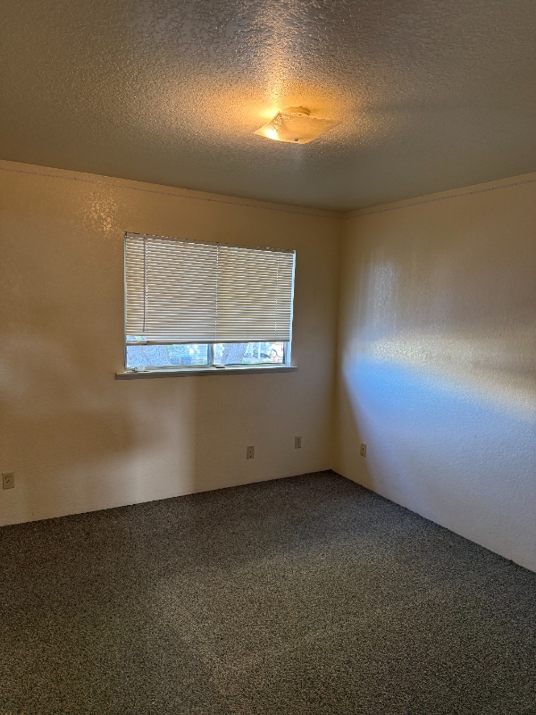 Photo - 706 N Lincoln St Unit 706 N Lincoln