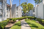 Pacific Woods Apartments - Pacific Woods Apartment Homes
