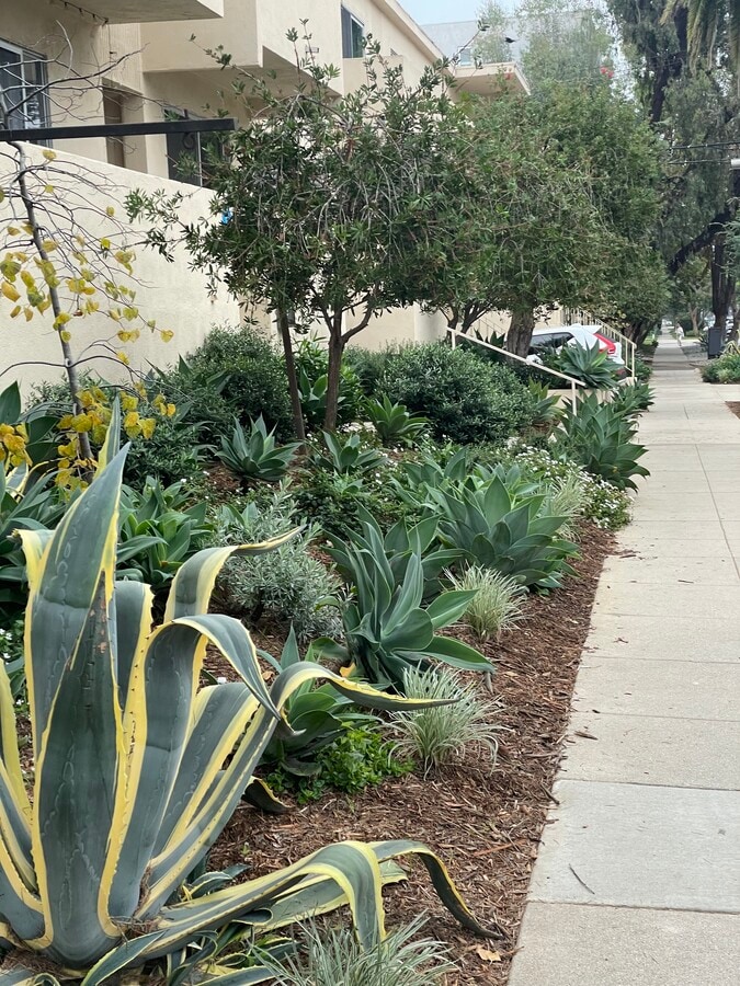 Photo - 1030 Idaho Ave Unit 3