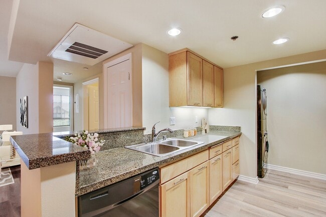 Photo - Olive Encino