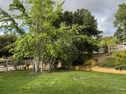 Photo - Country Home