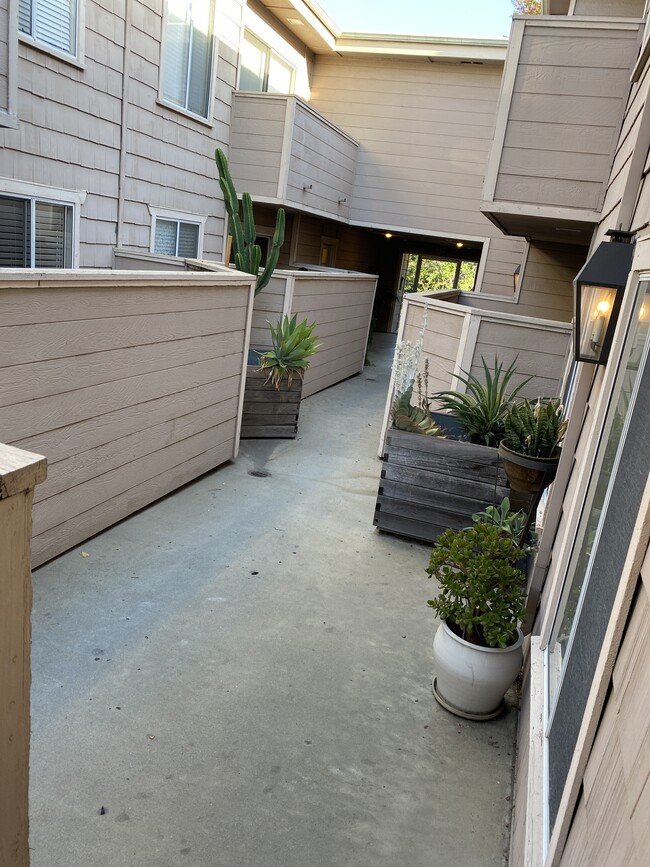 Courtyard - 14141 Tiara St Unit Apt 13